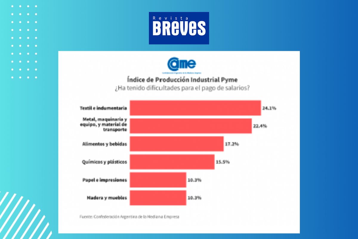 La industria pyme retrocede 6,6% en septiembre pero muestra señales de recuperación - imagen 6